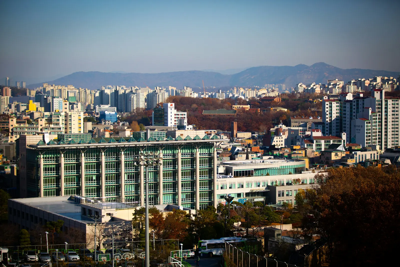 단풍 든 나무 너머 아파트 단지와 산